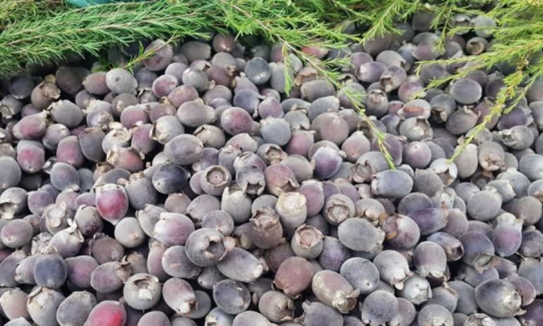 Bài số 8 . Thành phố Kon Tum
