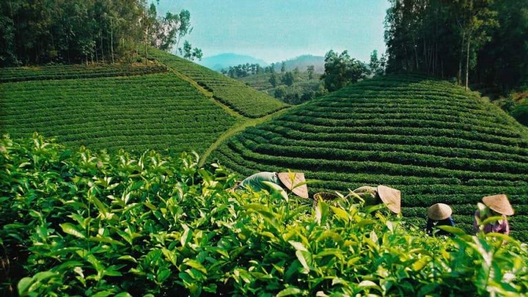Bài số 16. Thành Sơn Phòng – Hương Khê và chiếu Cần Vương của vua Hàm Nghi