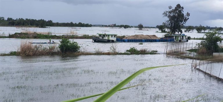 Du ký Đồng bằng sông Cửu Long – 2025 – Bài số 6